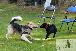 Welpen  06.09.2025 56
